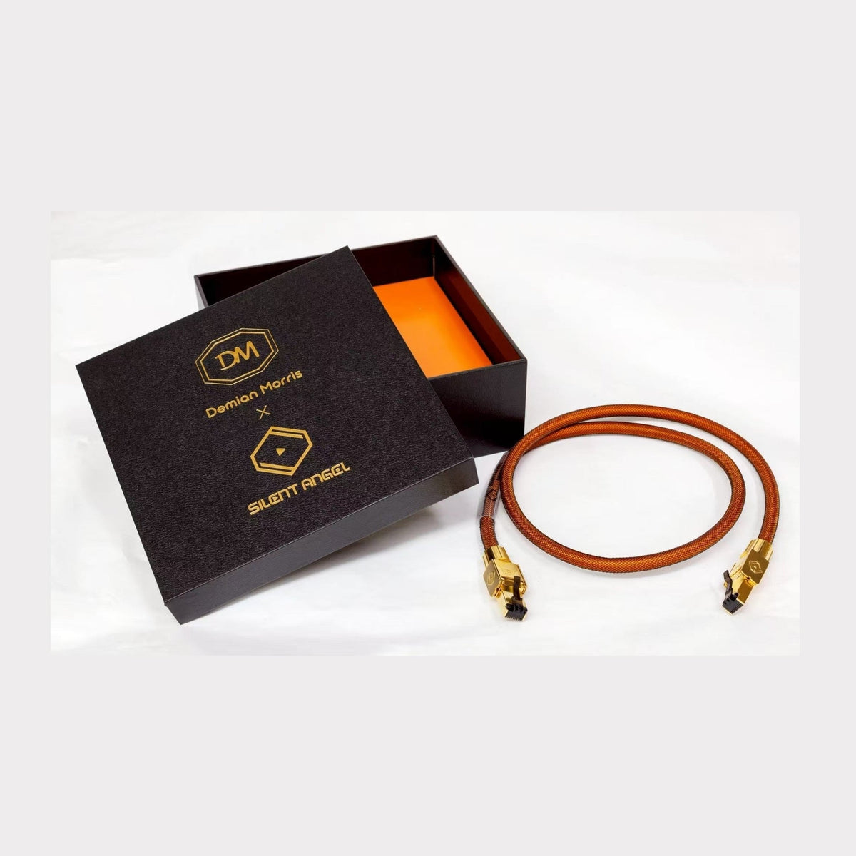Silent Angel x DM Connect CAT8 Ethernet Cable