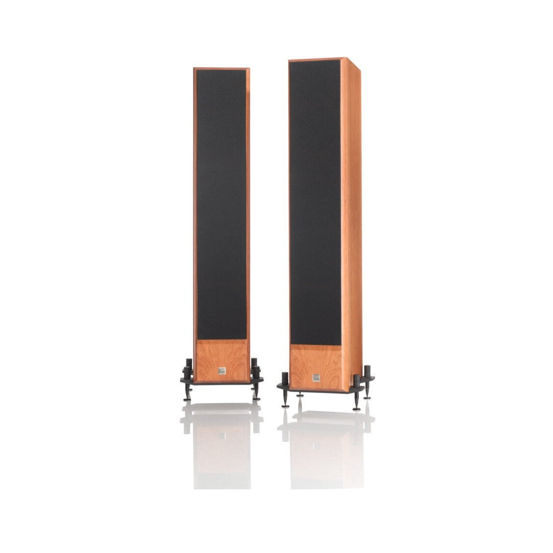 Vienna Acoustics Beethoven Concert Grand Reference-thumbmail-10