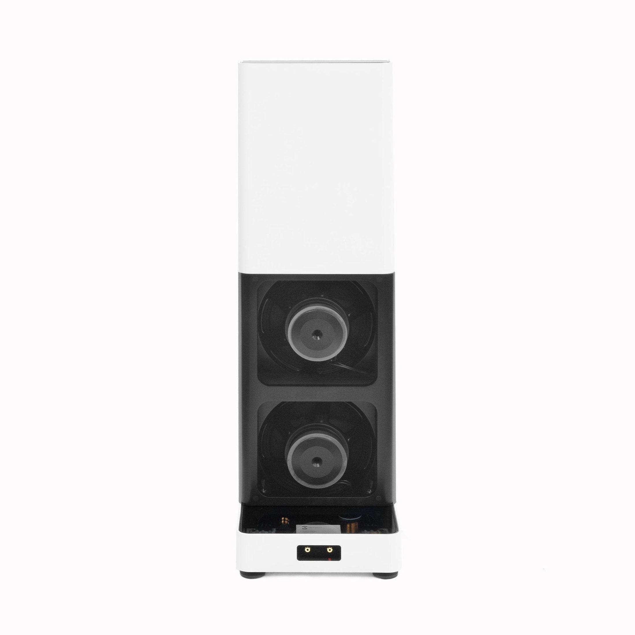 Silent Pound Challenger II-thumbmail-13