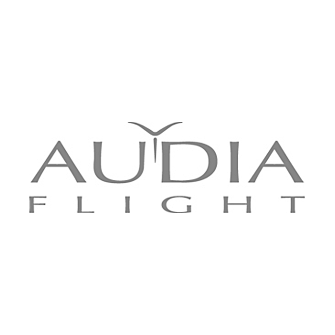 Audia Flight - Flight DAC Board