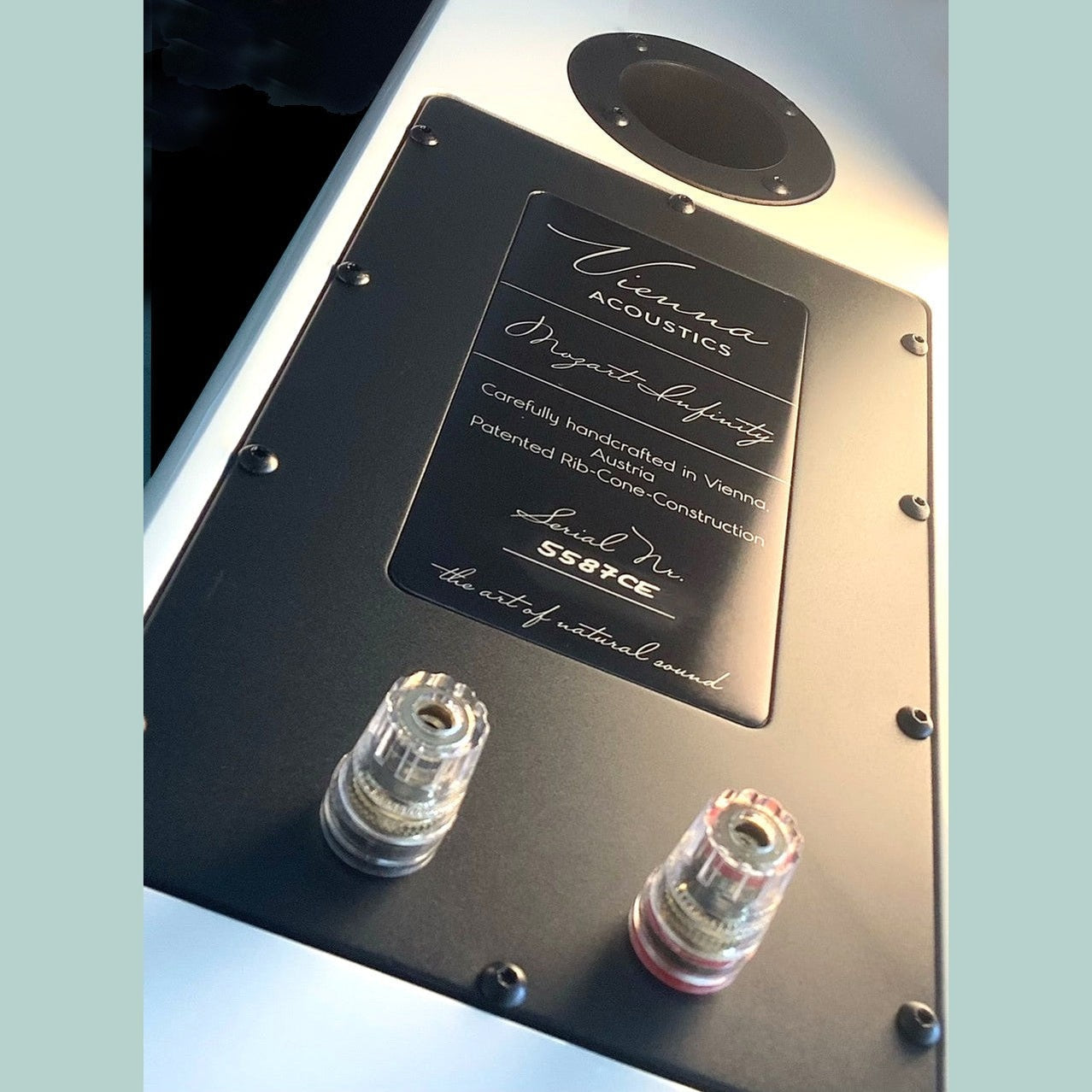Vienna Acoustics Mozart Infinity-thumbmail-9
