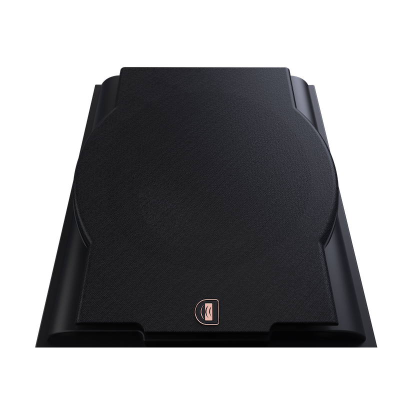Perlisten Audio R10s Subwoofer-thumbmail-16
